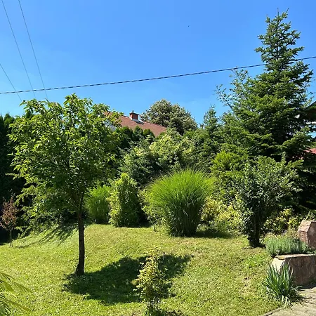 Vila Buekk-szep *