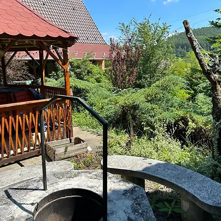 Vila Buekk-szep *